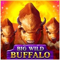 game logo by Belatra Games on jokerycasinoo.com